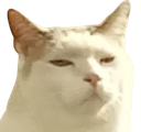 :Momoed:
