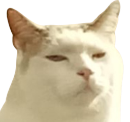 :Momoed: