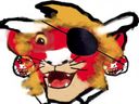 :Lion_oeil: