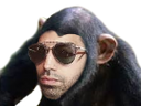 :pnl_singe: