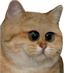 :chat_triso: