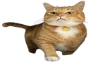 :chatroi: