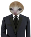 :gentlecat: