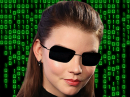 :AnyaMatrix: