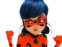 :ladybug_allez: