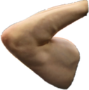 :Biceps: