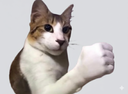 :chat_fist: