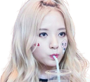 :bona_s: