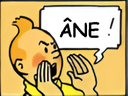 :tintinane: