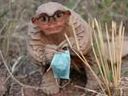 :cr7animal: