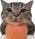 :Chat_pomme_avachie_chill: