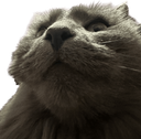 :Chat_boomer: