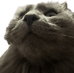 :Chat_boomer: