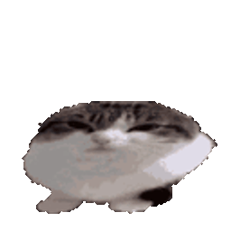:chat_bounce:
