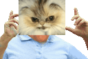:ChatMacheLoco: