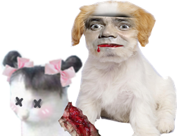 :chat_couette_mort: