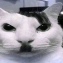 JayMitler