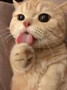 :Leche: