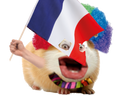 :hamster_patriote: