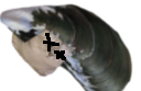 :deadkot4:
