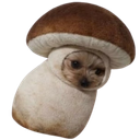 :chienpignou: