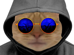 :chat_lunette: