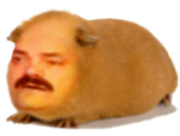 :risitas_hamster: