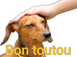 :gooddog: