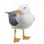 Photo de profil de LaMouetteAhi