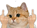 :sodium_doublefuck: