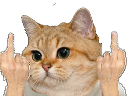 :sodium_doublefuck: