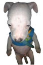 :Chien_def:
