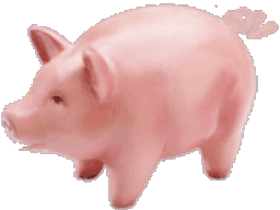 :pig: