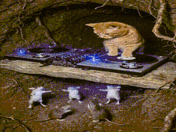 :Chat_DJ_nightclub: