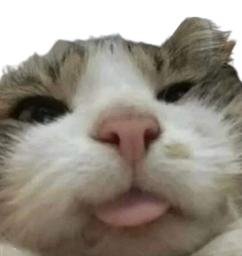 :Chat_cash: