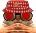 :ChaPointilleuxCochonouLaser: