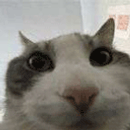:chatcouine: