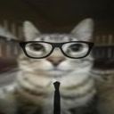 :Chat_lunette_cravatte: