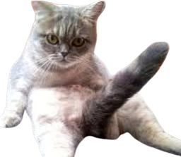 :Chat_qui_bande:
