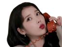 :iucall: