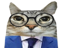 :CS_Costume: