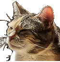 :Chat_snob:
