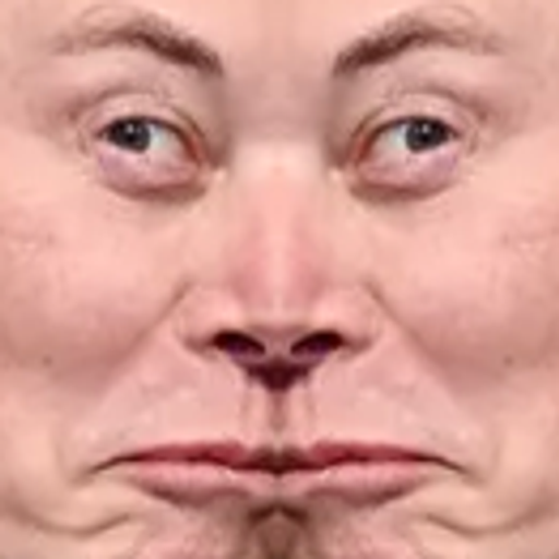 Musk