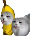 :keskispassladedan:
