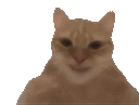 :chatangle3: