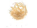 :tumbleweed: