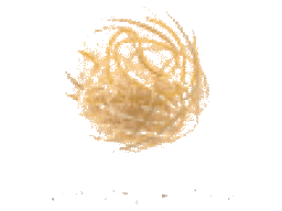:tumbleweed: