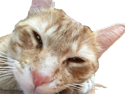 :Chat_Flemme: