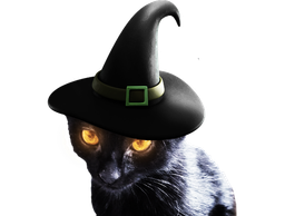 :chat_zinzin:
