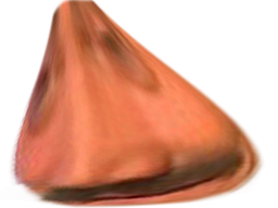 :risitriangle: